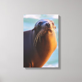 Ben je Mad Bro? Canvas Afdruk