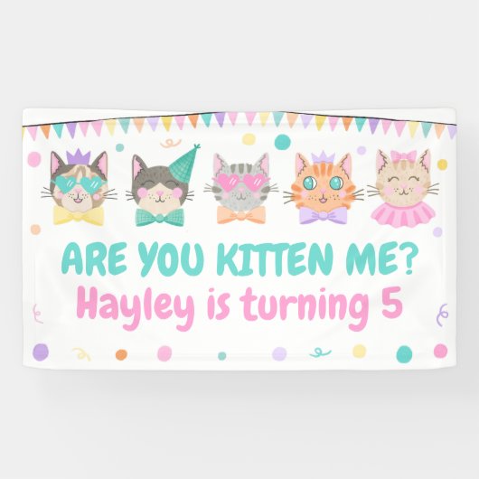 Ben je me aan het kitten? Kitty Cat Meisjes Verjaa Spandoek (Horizontaal)