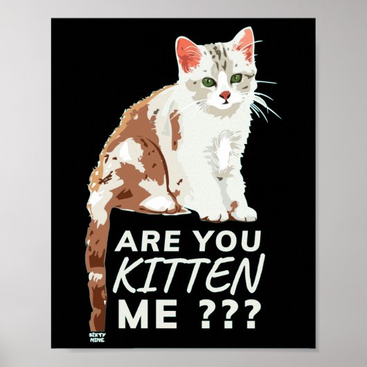 "BEN JE ME BEKEND" grappige kat Poster (Voorkant)