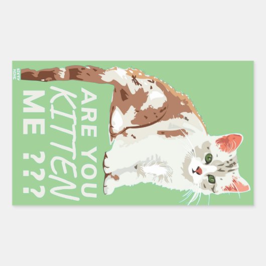 "BEN JE ME BEKEND" grappige kat Rechthoekige Sticker (Voorkant)