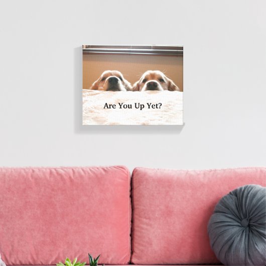 Ben je nog op? Golden Retriever Canvas Afdruk (Insitu (Woonkamer))