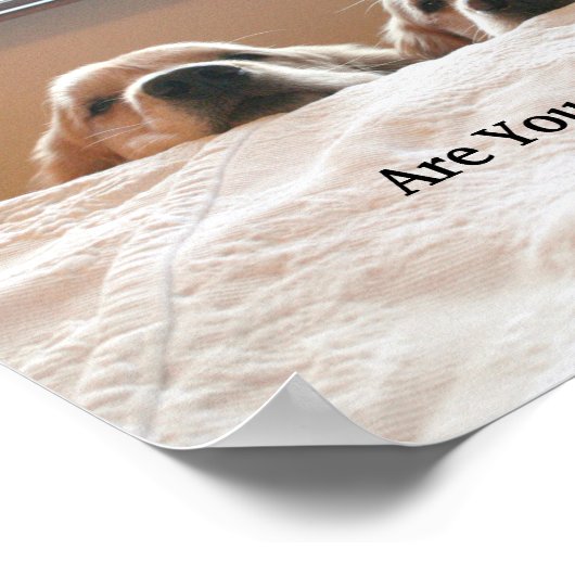 Ben je nog op? Golden Retriever Poster (Hoek)