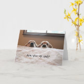 Ben je nog op? Golden Retriever Wenskaart Kaart (Gele Bloem)