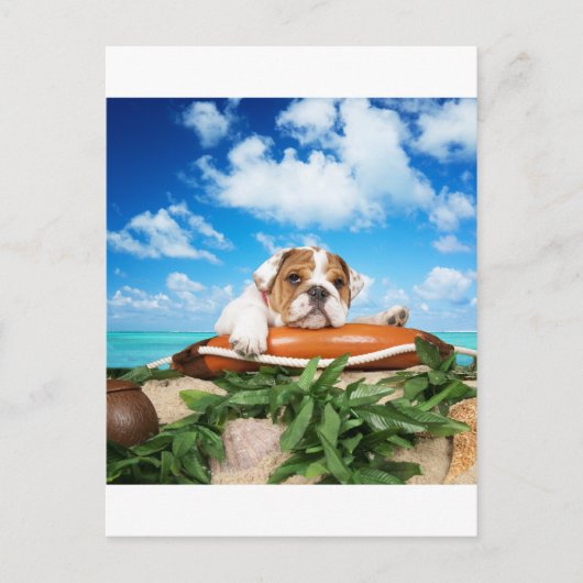 Ben je serieus? briefkaart (Voorkant)