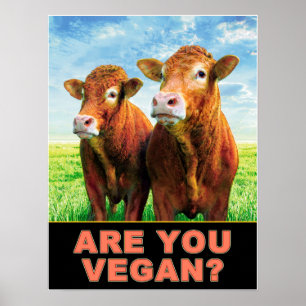 Ben je VEGAN? Poster