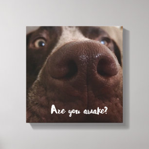 Ben je wakker? canvas afdruk
