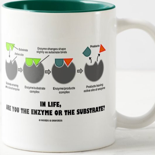 Ben jij in het leven het enzym of het substraat? tweekleurige koffiemok