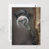 Ben jij mijn Barber? Briefkaart (Voorkant / Achterkant)