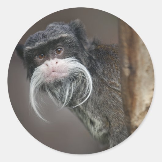 Ben jij mijn Kapper??? Sticker (Voorkant)