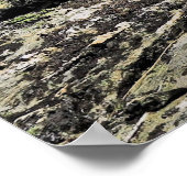 Ben Lomond Kea Poster (Hoek)