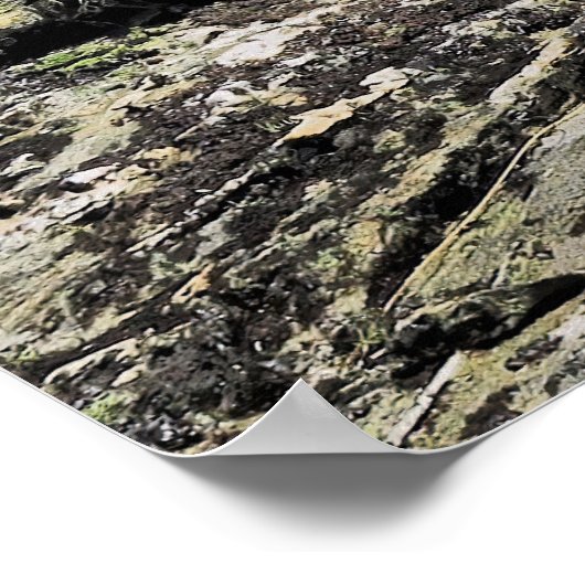 Ben Lomond Kea Poster (Hoek)