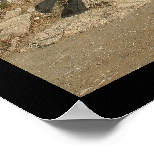 Ben Lomond, Queenstown NZ Poster (Hoek)