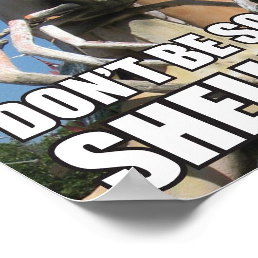 BEN NIET ZO SCHELLFISH! MEME POSTER (Hoek)