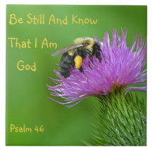 Ben nog steeds Bumblebee