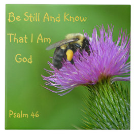 Ben nog steeds Bumblebee Tegeltje