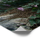 Ben Shemen Forest in Israël, Heilig Land Poster (Hoek)