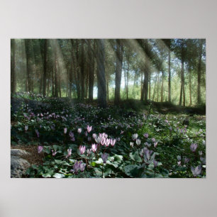 Ben Shemen Forest in Israël, Heilig Land Poster