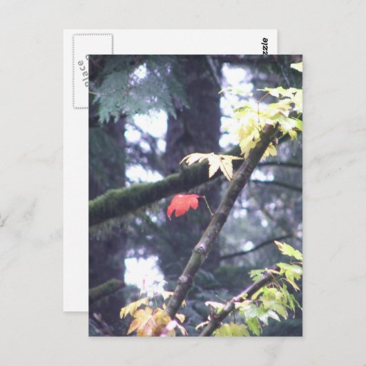 Ben zelf briefkaart (Voorkant / Achterkant)