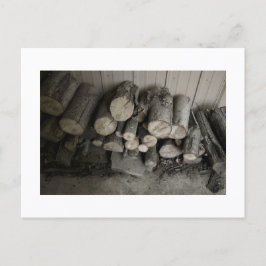 Benaderbare Wolf Post Card Print Briefkaart
