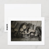 Benaderbare Wolf Post Card Print Briefkaart (Voorkant / Achterkant)
