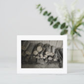 Benaderbare Wolf Post Card Print Briefkaart (Staand voorkant)