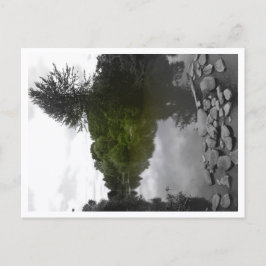 Benaderbare Wolf Post Card Print Briefkaart