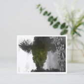 Benaderbare Wolf Post Card Print Briefkaart (Staand voorkant)
