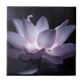 Benadrukte Lotus flower, decoratieve bloemfoto Tegeltje (Voorkant)
