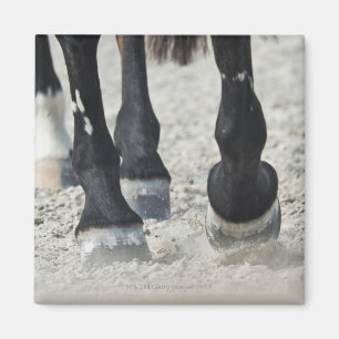 benalamadena costa, malaga, costa del sol, 2 magneet