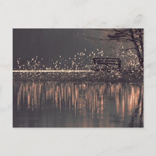 Bench bij het meer in het gouden lichte briefkaart (Voorkant)