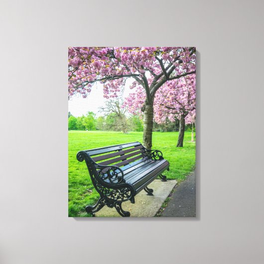 Bench en kersenbloesem uitzicht canvas print (Voorkant)