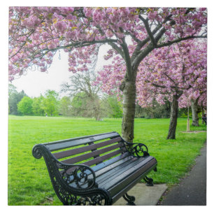 Bench en kersenbloesem uitzicht keramische tegel tegeltje
