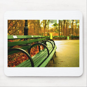 Bench in Central Park, New York City Muismat