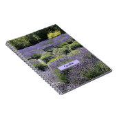 Bench in een enorm veld van lavender in Sequim Notitieboek (Rechterzijde)