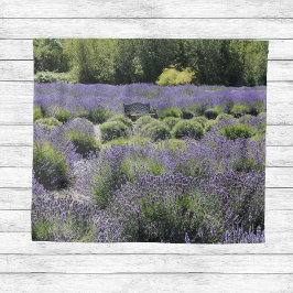 Bench in het midden van een lavenderveld wandkleed