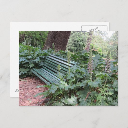 Bench in het Park Briefkaart (Voorkant / Achterkant)