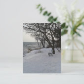 Bench in Winter Snow Briefkaart (Staand voorkant)