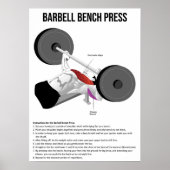Bench Press - Exercise - Muscle Anatomy Chart Poster (Voorkant)