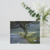 Bench, tree, Regents Park, Londen, Engeland Briefkaart (Staand voorkant)