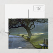 Bench, tree, Regents Park, Londen, Engeland Briefkaart (Voorkant / Achterkant)