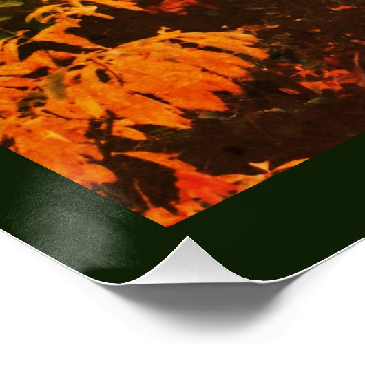 Bend Perfect Poster (Hoek)