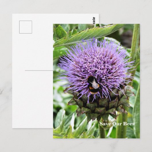 BENEDEN BRIEFKAART (Voorkant / Achterkant)