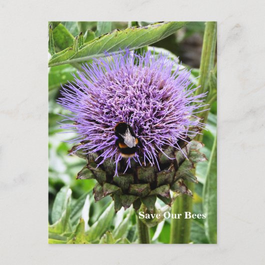 BENEDEN BRIEFKAART (Voorkant)