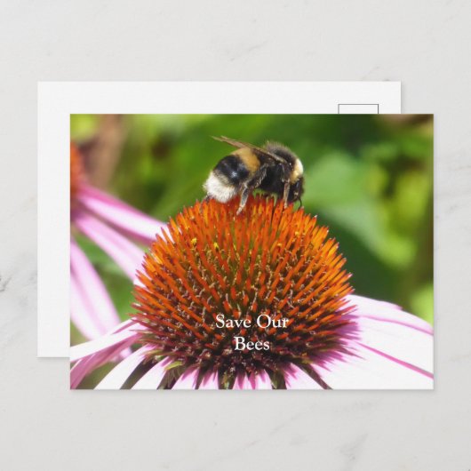 BENEDEN BRIEFKAART (Voorkant / Achterkant)