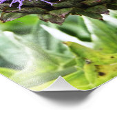 BENEDEN FOTO AFDRUK (Hoek)