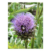 BENEDEN FOTO AFDRUK (Voorkant)