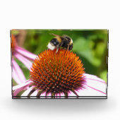 BENEDEN FOTOBLOKKEN (Voorkant)