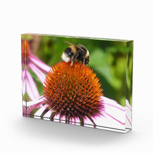 BENEDEN FOTOBLOKKEN (Rechts)