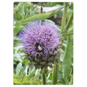 BENEDEN KLEMBORD (Achterkant)