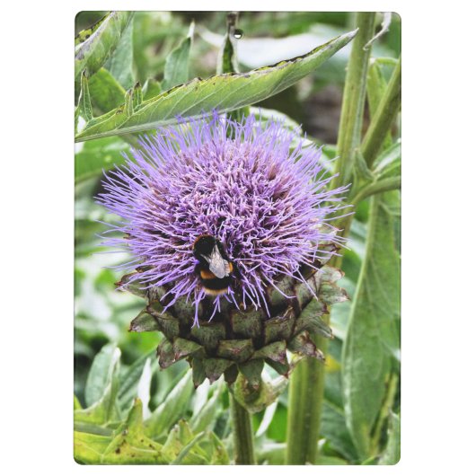 BENEDEN KLEMBORD (Achterkant)